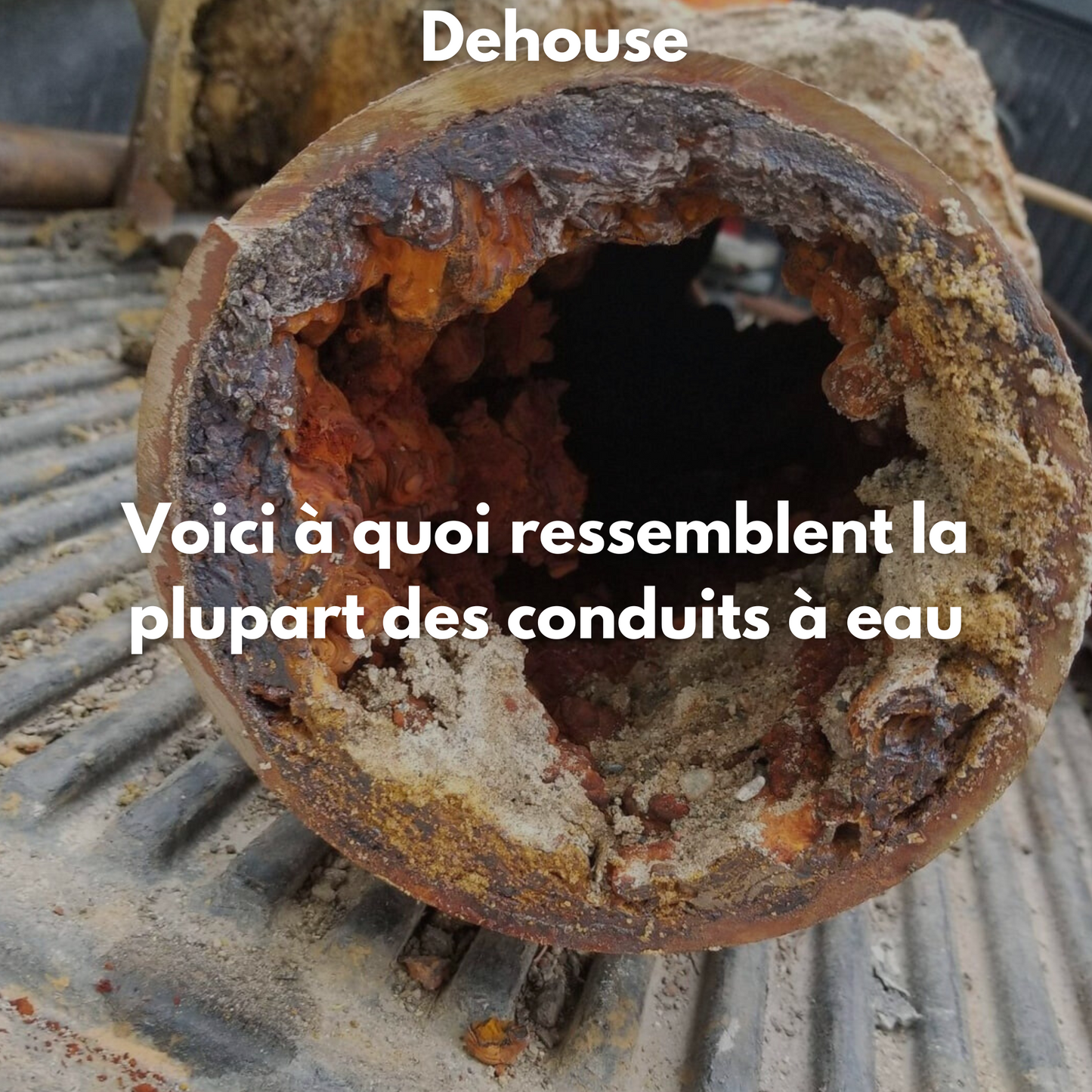 MyShower - Pommeau de douche filtrant